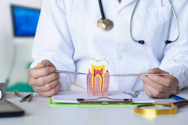 Best Chipped Tooth Repair Near Me  in Eleanor, WV